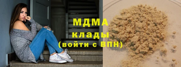 индика Ладушкин