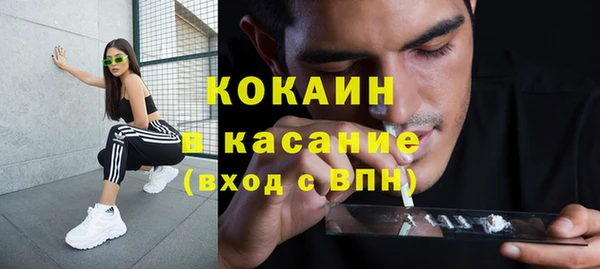 индика Ладушкин