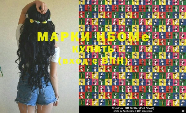 индика Ладушкин