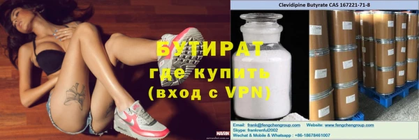 индика Ладушкин