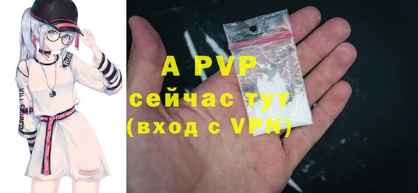 индика Ладушкин