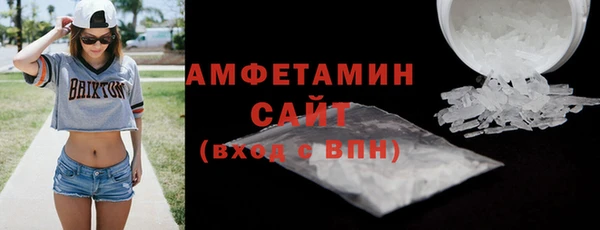 индика Ладушкин