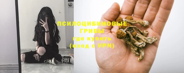 прущие грибы Лагань