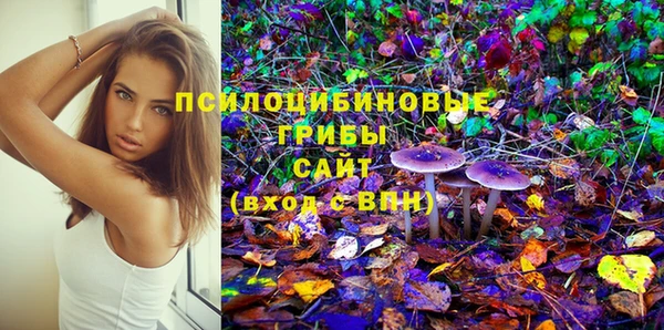 индика Ладушкин