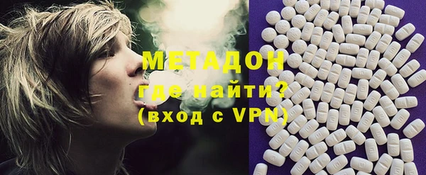 индика Ладушкин
