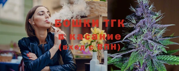 прущие грибы Лагань