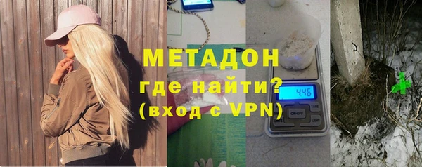 индика Ладушкин