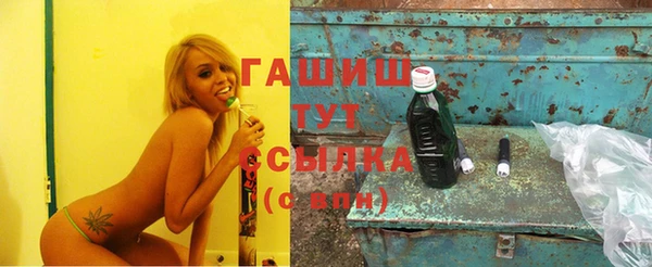 индика Ладушкин