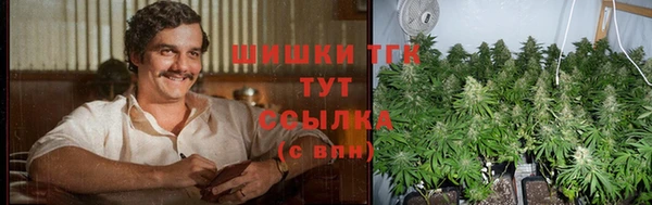 индика Ладушкин