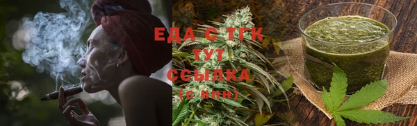 индика Ладушкин
